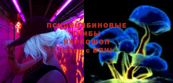 тгк Аркадак