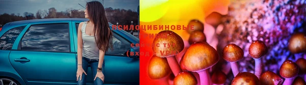 винт Арсеньев