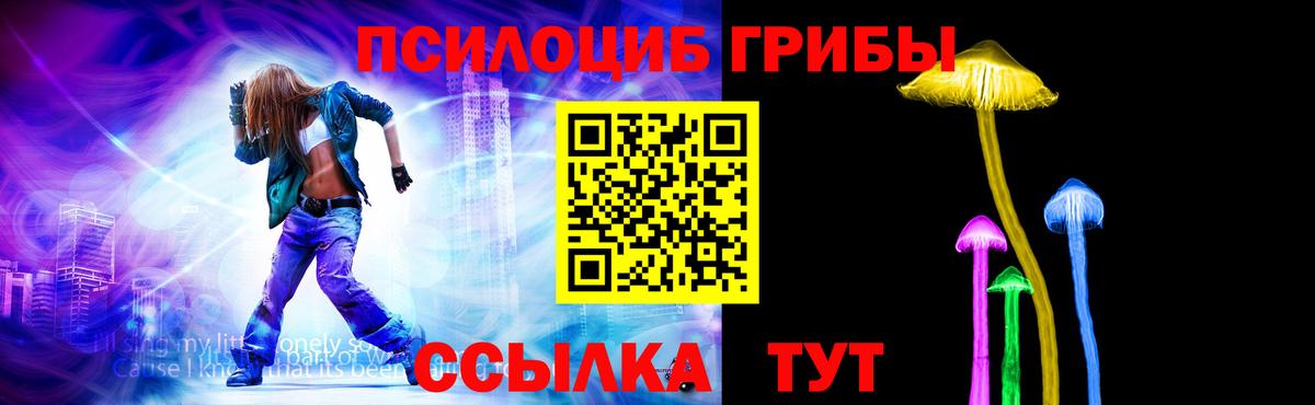 Псилоцибиновые грибы мицелий Всеволожск